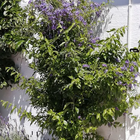 Appartement Sahara - Kastraki Kastrákion