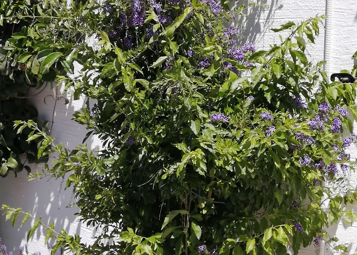 Apartment Sahara - Kastraki Kastrákion